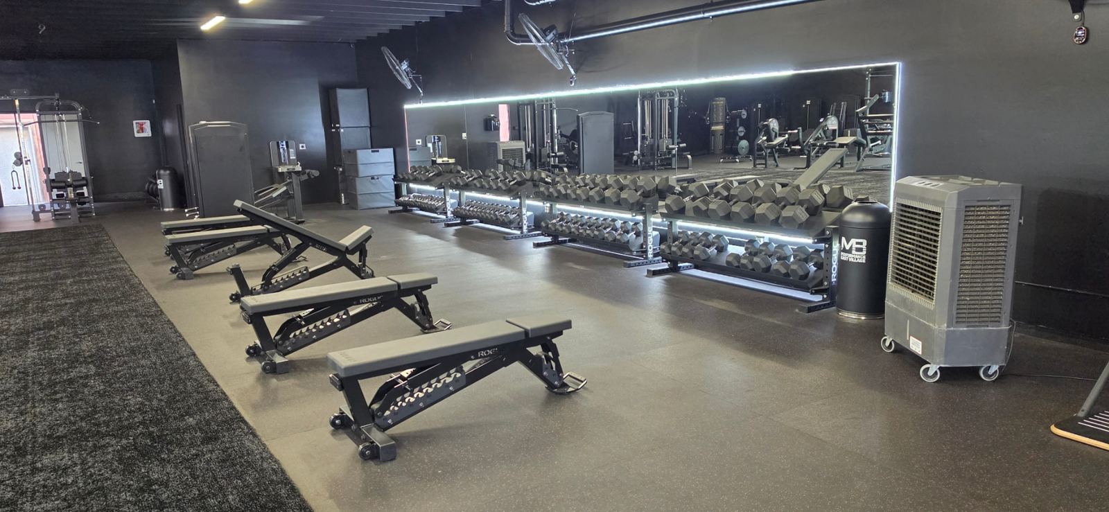 Free Weights & Benches